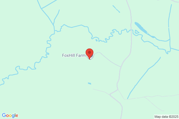 Foxhill Equestrian Ltd