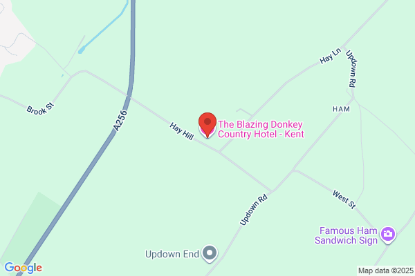 Blazing Donkey Country Hotel