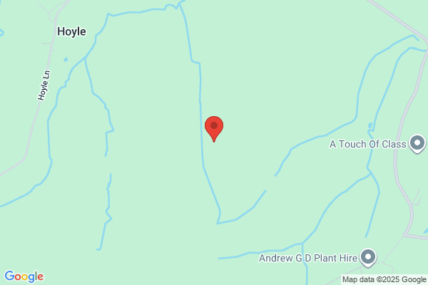 Hoyles Pine
