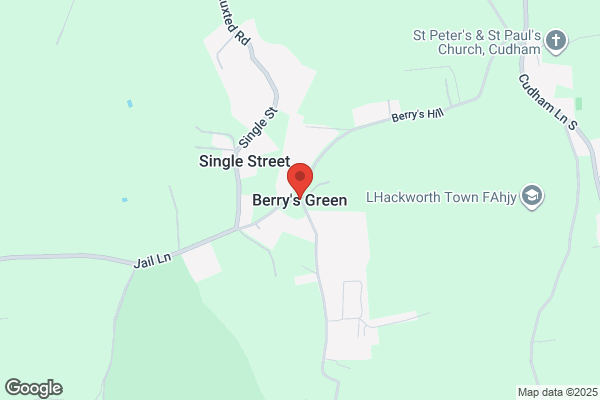 The Green Berry