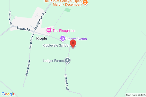 The Ripple School