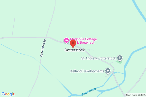 Cotterstock Collectibles