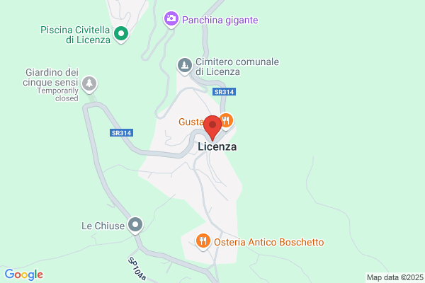 Licenza