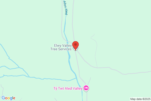 Elwy Valley Tree Services