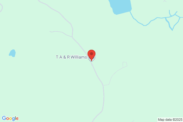 T A Williams