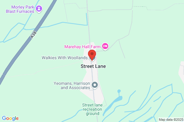 Terrys (Ripley) Taxis
