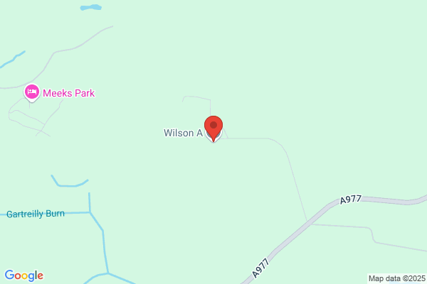 C S Wilson