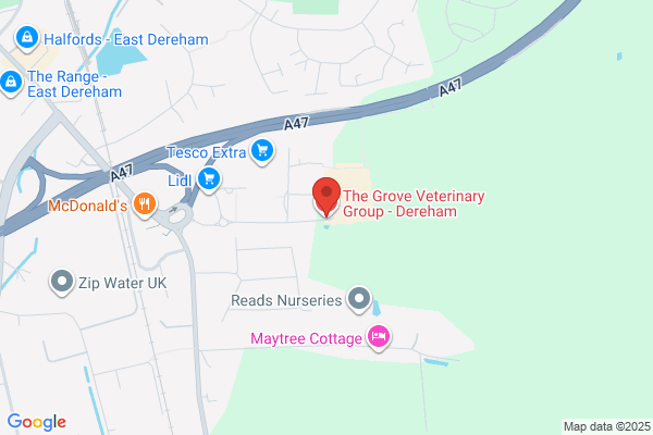 The Grove Veterinary Group - Dereham