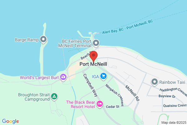 L McNeill