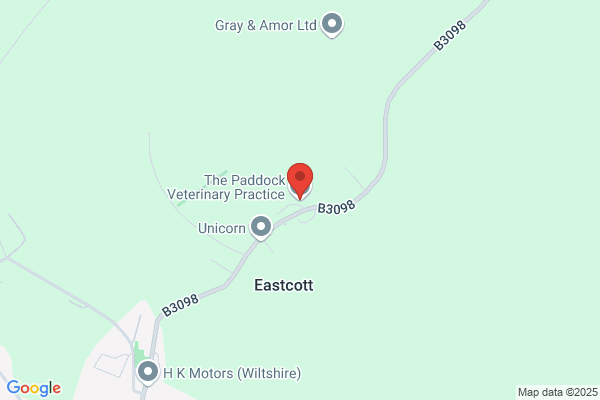 The Paddock Veterinary Practice