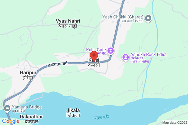 Kalsi