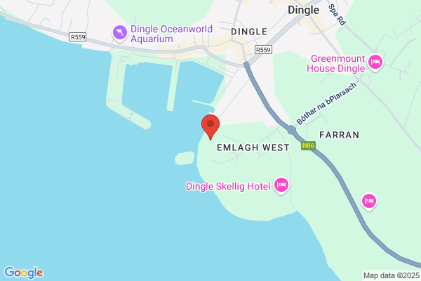 Dingle Opportunities Ltd