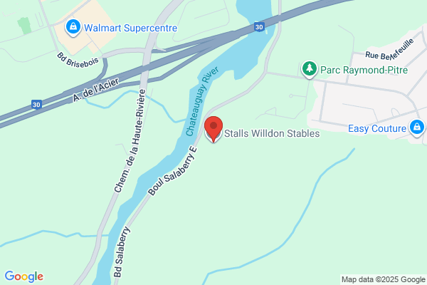 Willdon