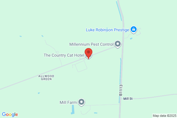 Andalyn Country Cat Hotel