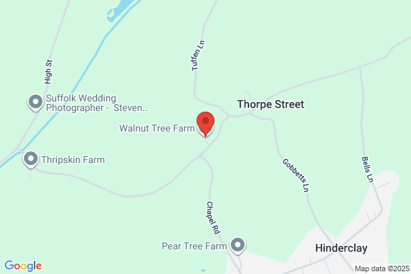 Walnut Tree Pigs