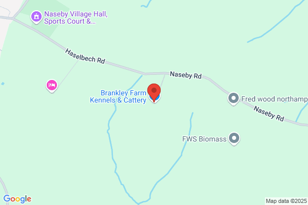 Braunston Cattery & Kennels