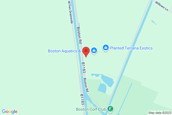 Boston Electronic Service