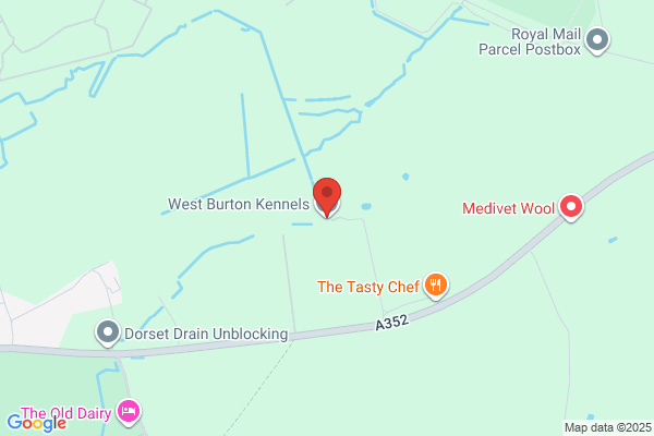 West Burton Kennels & Chloes Catterie