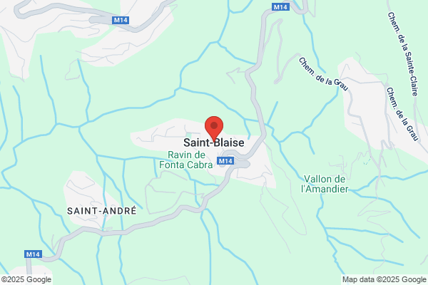 Saint Blaise Ltd