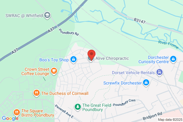 Alive Chiropractic LTD