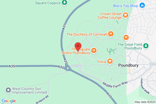 Conifers Driving School