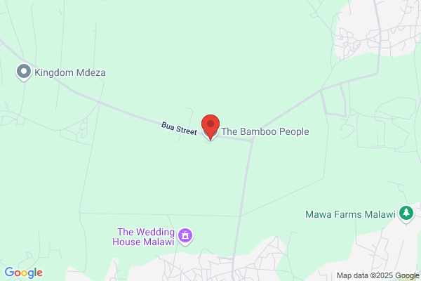 The Bamboo People