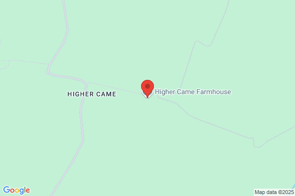 Higher Came