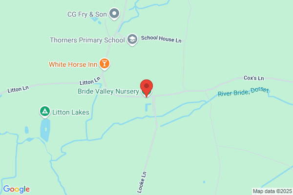 Bride Valley Nursery