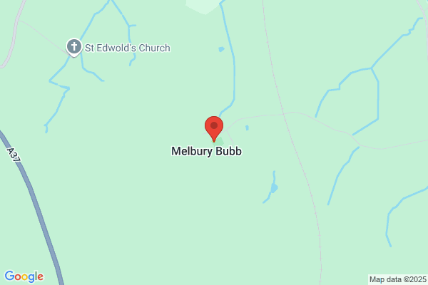 The Virgin Mary (Melbury Bubb)