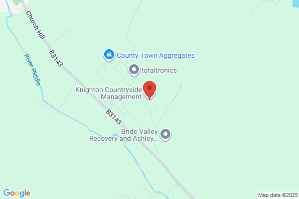 Knighton Forestry