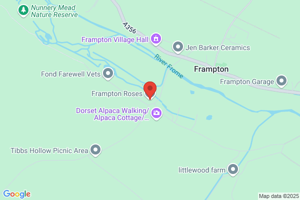 Frampton Roses