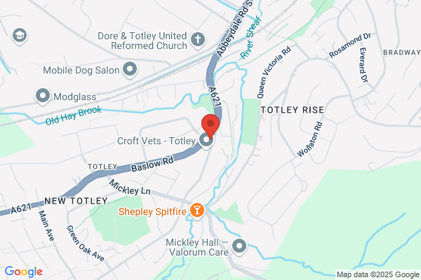 Totley Gifts & Flowers