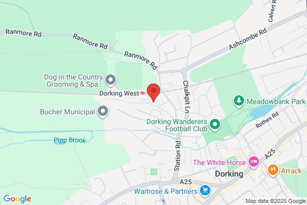 earisscustomphotos