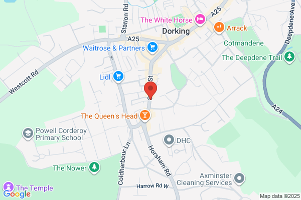 Novus Business Connections