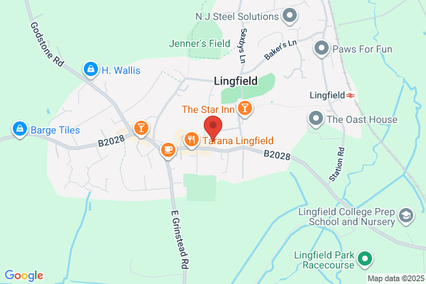 Abbeyfield Lingfield & District Society