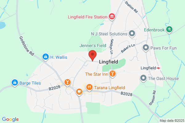 Lingfield Minibuses