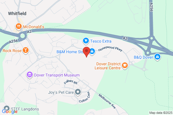 Vets4Pets - Dover