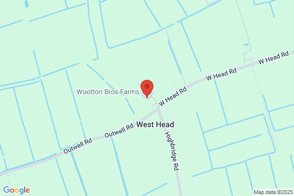 Wootton Bros Farms Ltd