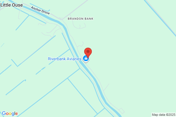 Gaylor Grab & Skip Hire
