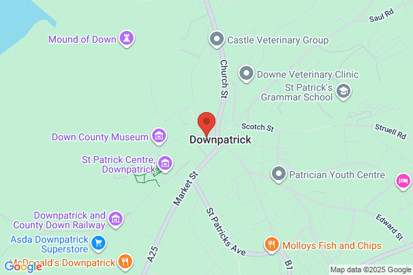 Voluntary Arts (Ireland)