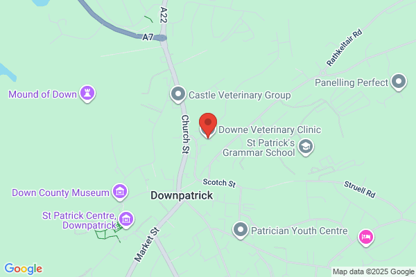 Downe Veterinary Clinic The Terrace