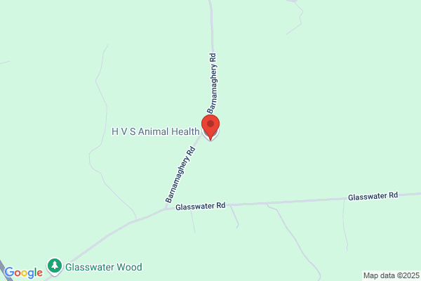 H V S Animal Health