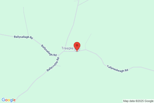 Tree Maintenance Ltd