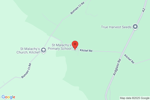 St Malachy's Primary School