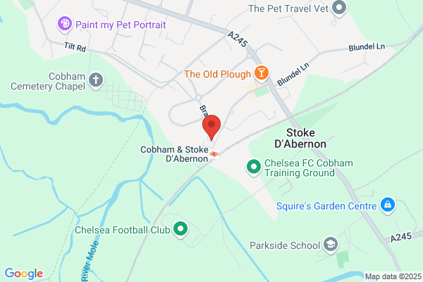 Dental Surgery Of Cobham