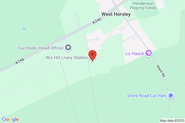 Livery Training Stables