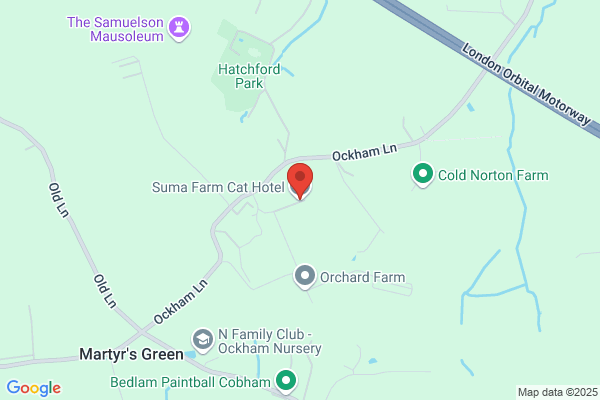 Suma Farm Cat Hotel
