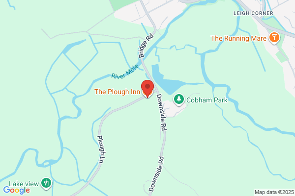 The Plough