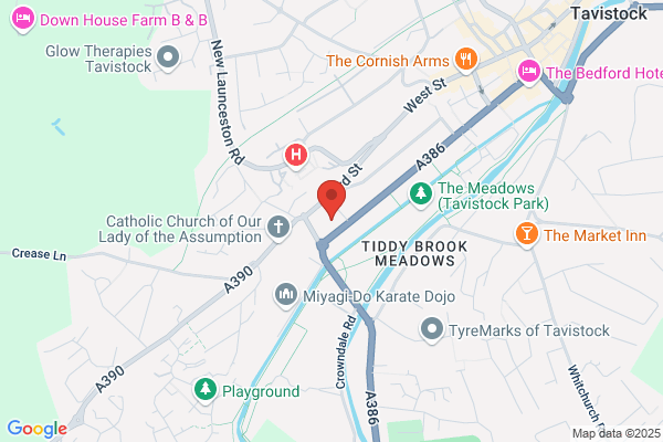 Fitzford Lodge