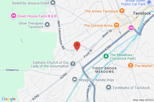 Tavistock Hospital